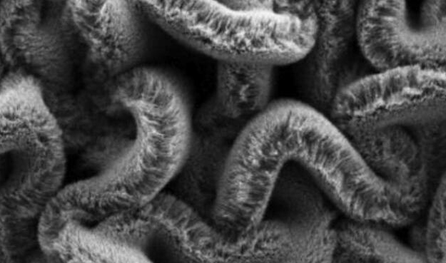 行业新闻：可拉伸的超等电容器，，，，，为柔性可衣着装备铺路